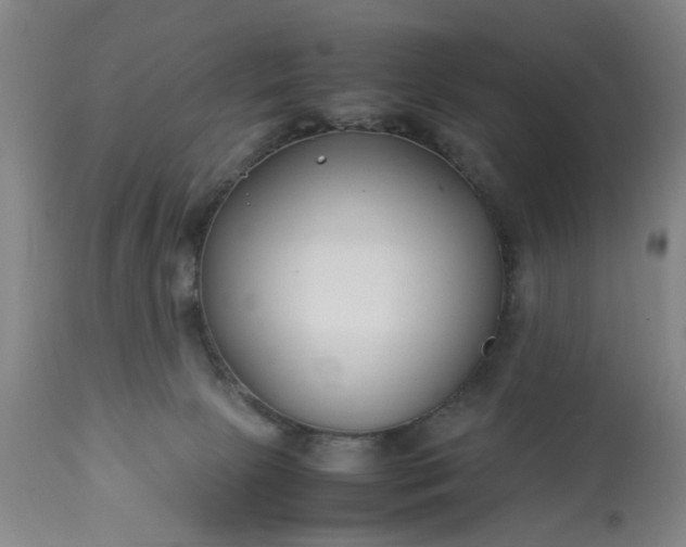 X0000113210081200909241434