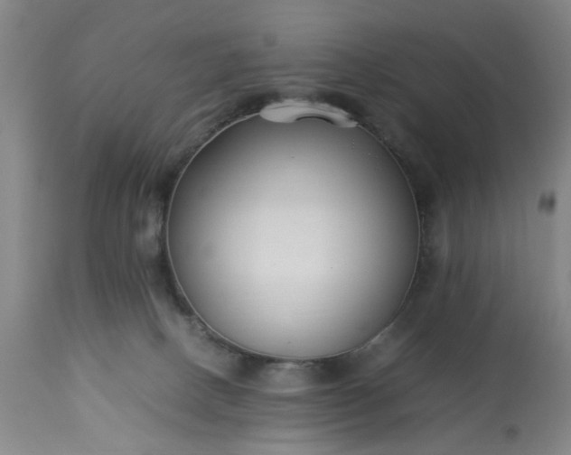 X0000113210082200909241434