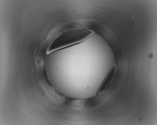 X0000113210084200909241434