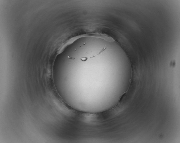 X0000113210085200909241434