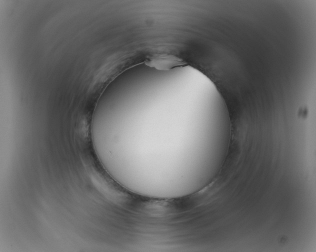 X0000113210086200909241434