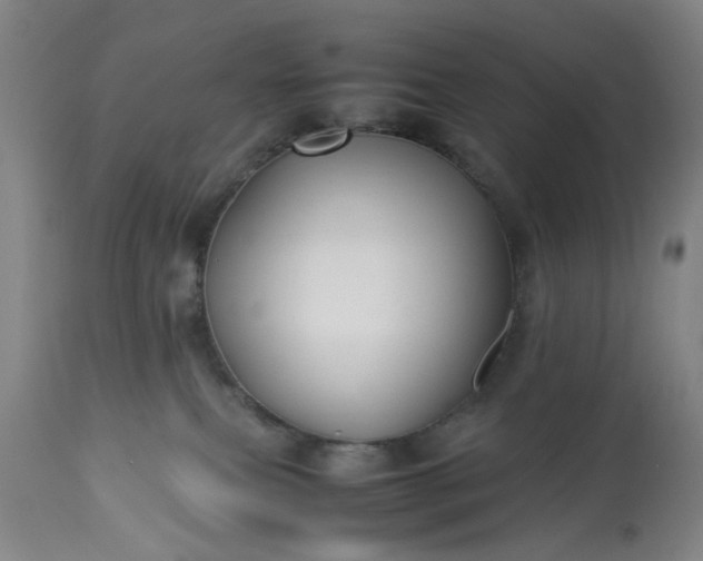 X0000113210087200909241434