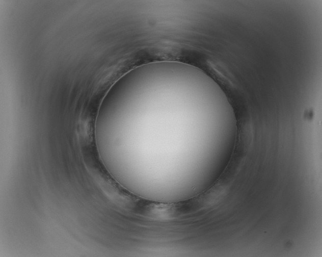 X0000113210088200909241434