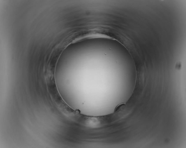 X0000113210091200909241434