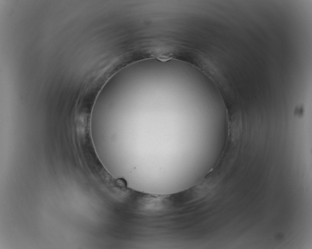 X0000113210093200909241434