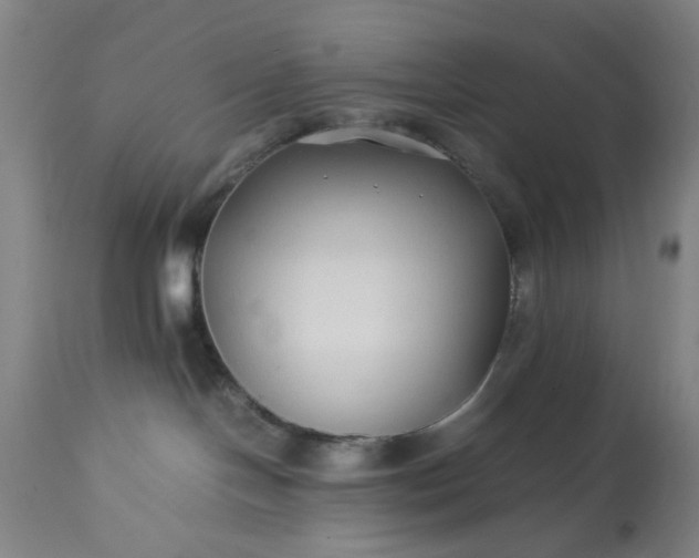 X0000113210094200909241434