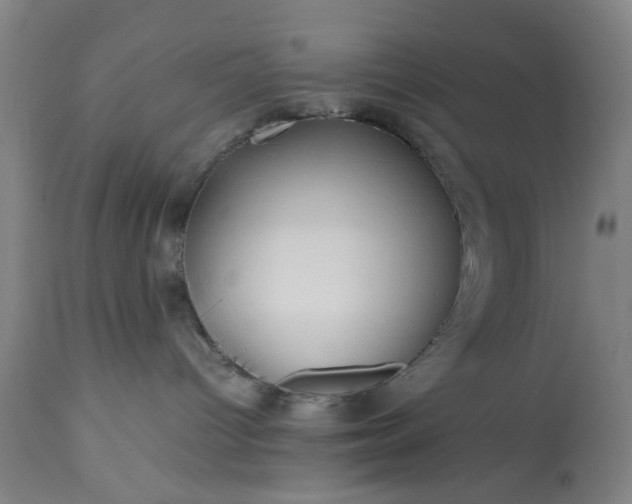 X0000113210096200909241434