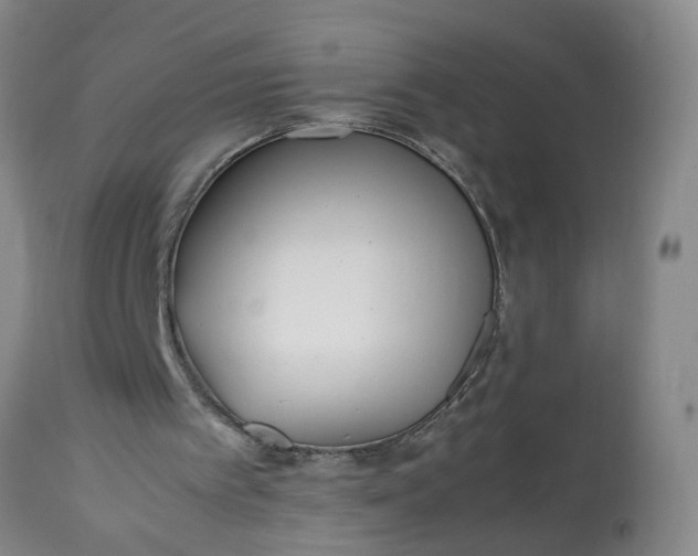 X0000113210097200909241433