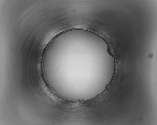 X0000113210098200909241433