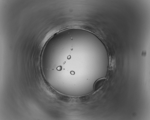 X0000113210099200909241433