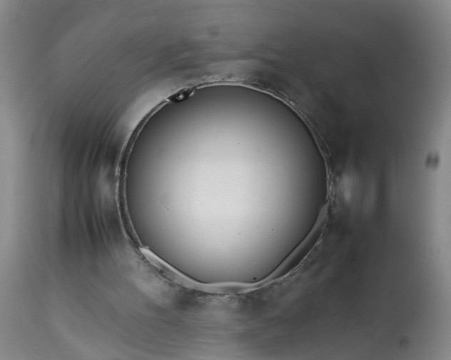 X0000113210100200909241433