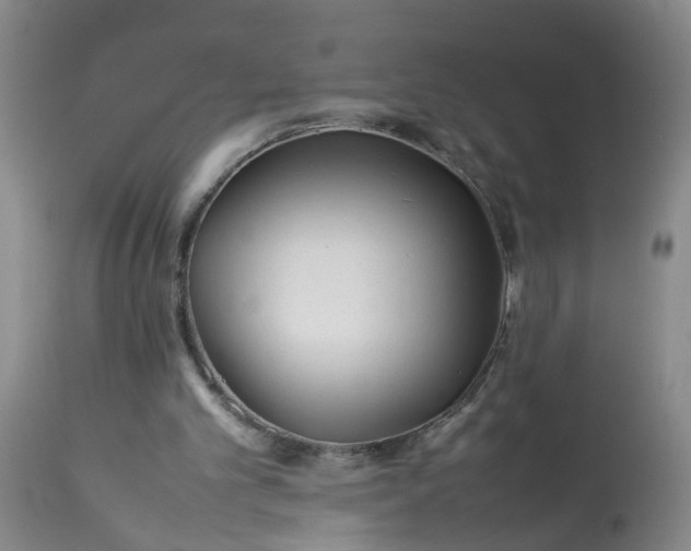 X0000113210101200909241433