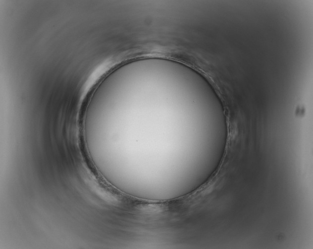 X0000113210102200909241433