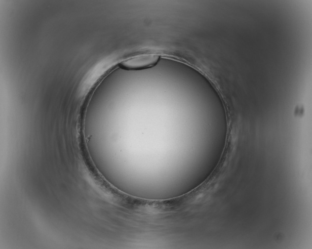 X0000113210103200909241433