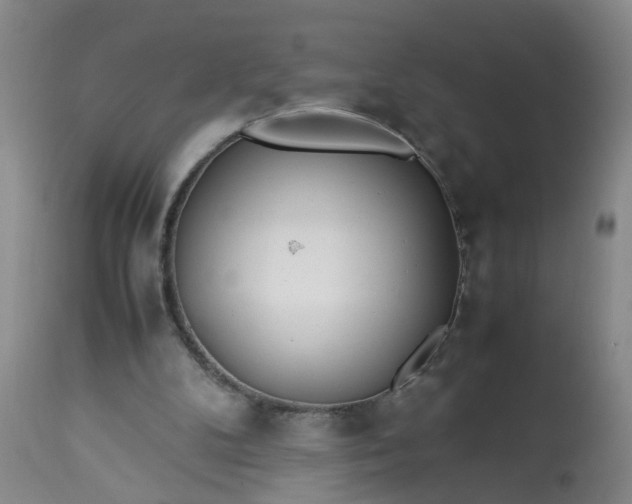 X0000113210104200909241433