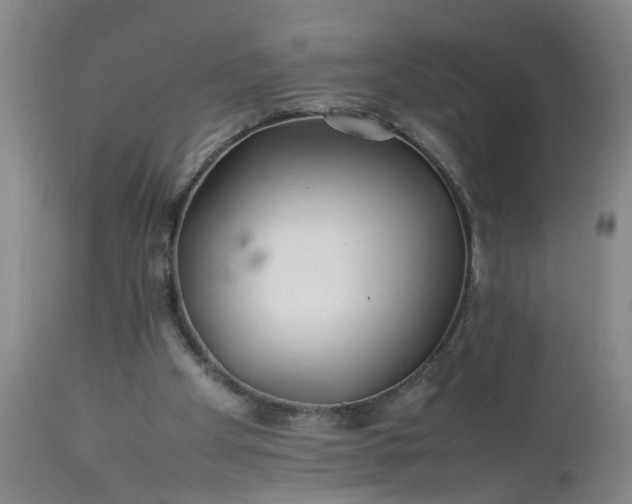 X0000113210105200909241433