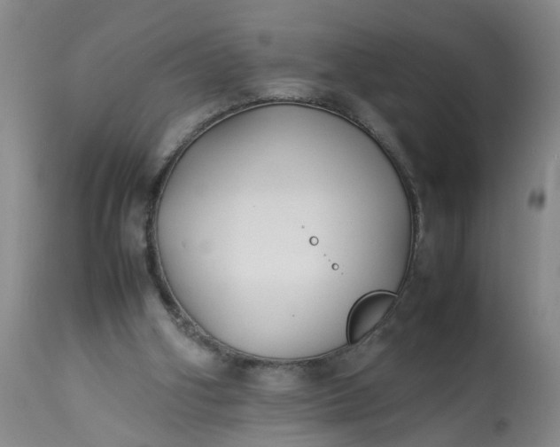 X0000113210106200909241433