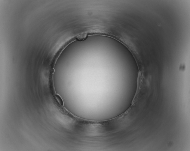 X0000113210108200909241433