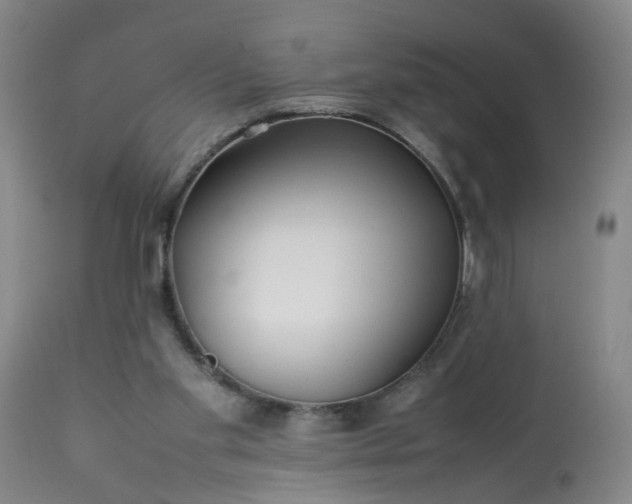 X0000113210109200909241433