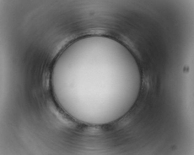 X0000113210110200909241433