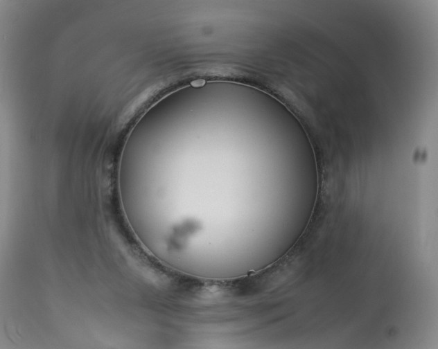 X0000113210111200909241433