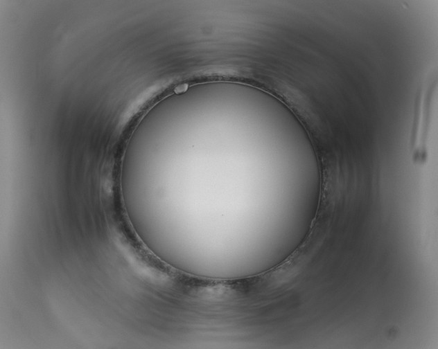 X0000113210112200909241433