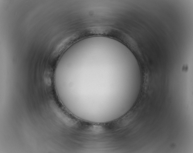 X0000113210114200909241433