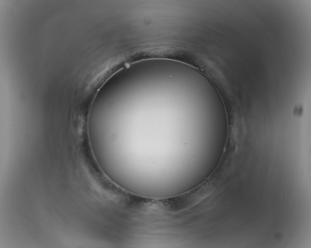 X0000113210115200909241433