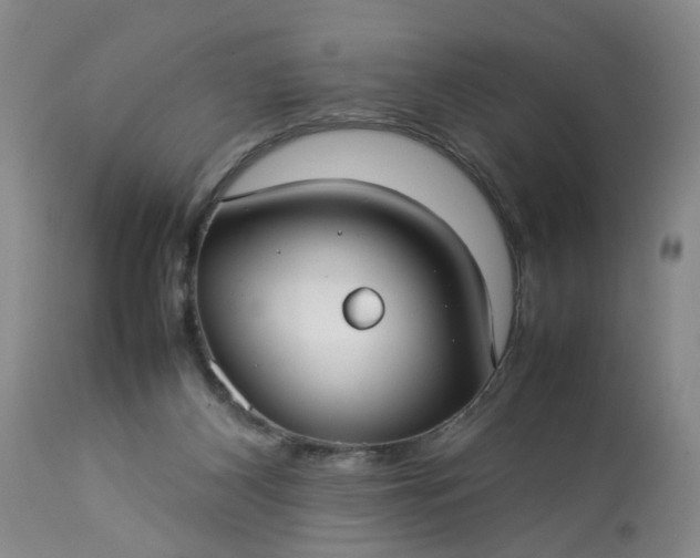 X0000113210116200909241433