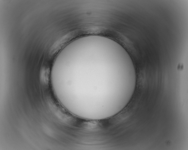 X0000113210118200909241433