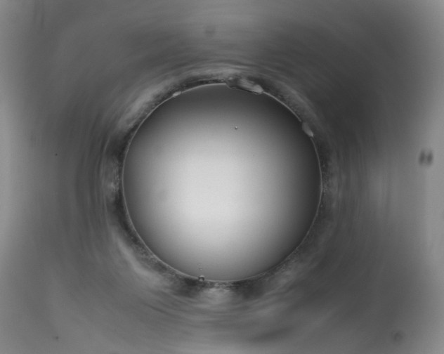 X0000113210119200909241433