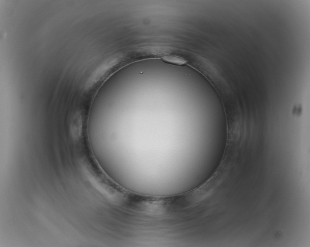 X0000113210120200909241433