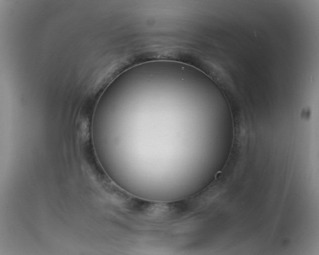 X0000113210123200909241433