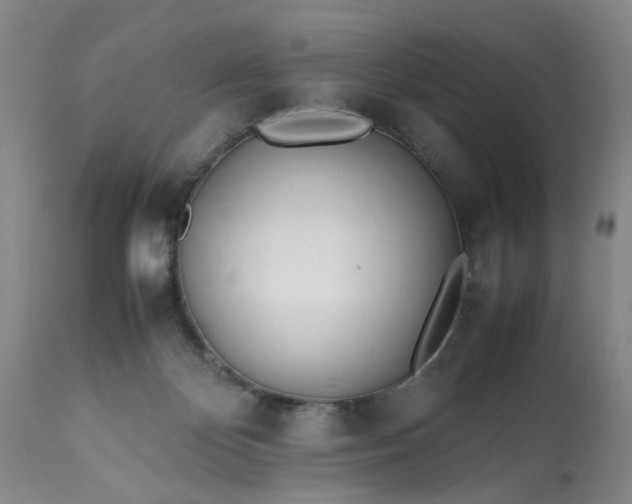 X0000113210124200909241433