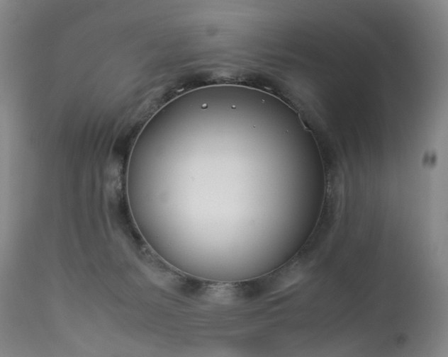 X0000113210127200909241433