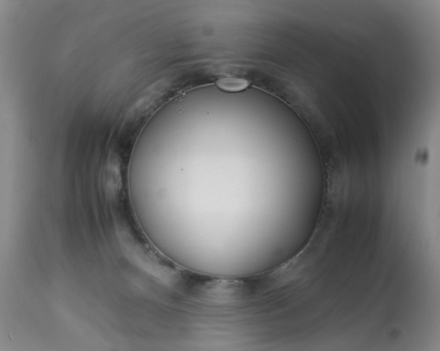 X0000113210128200909241433