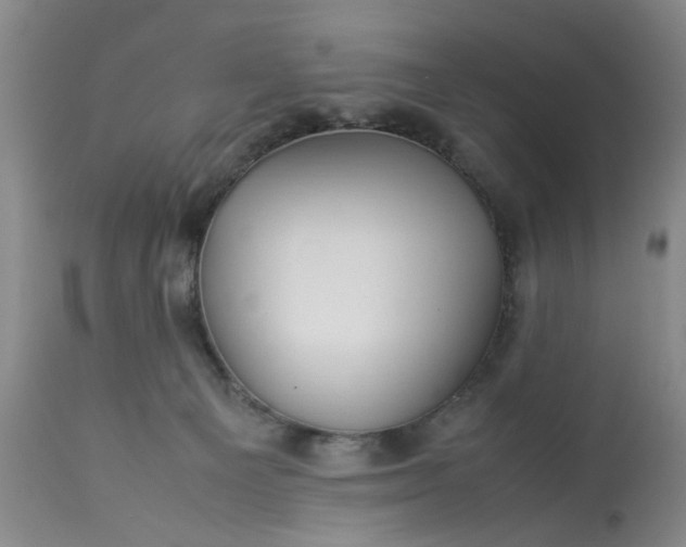 X0000113210129200909241433