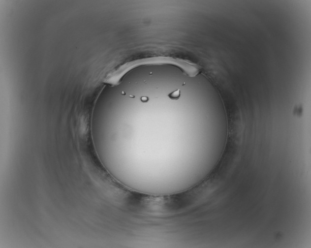 X0000113210131200909241433