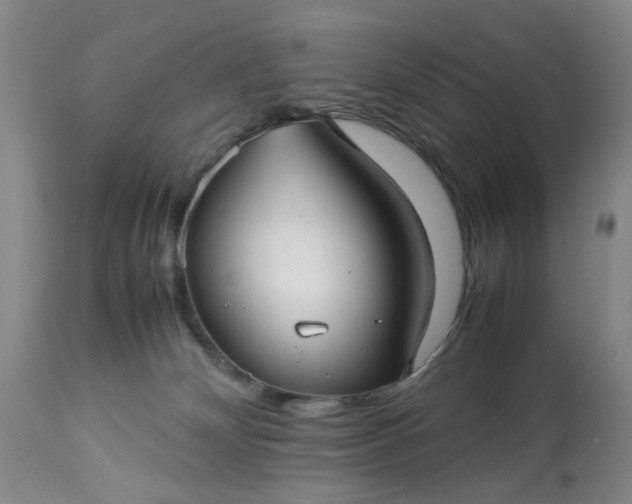 X0000113210132200909241433