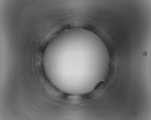 X0000113210133200909241433