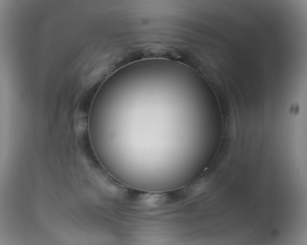 X0000113210135200909241433