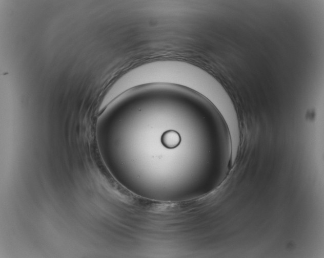 X0000113210136200909241433