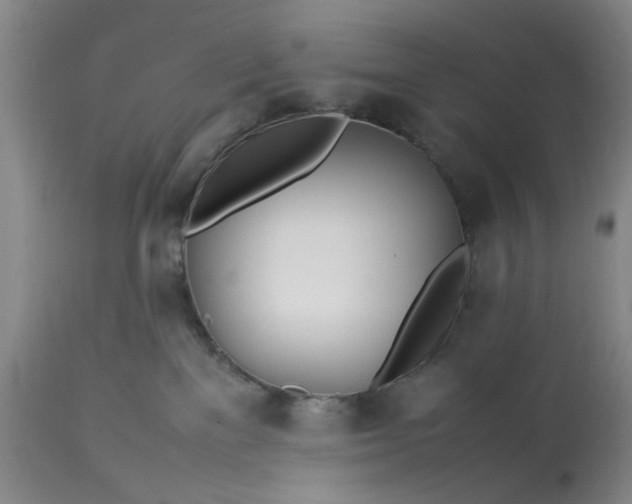 X0000113210137200909241433