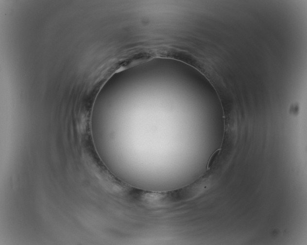 X0000113210139200909241433