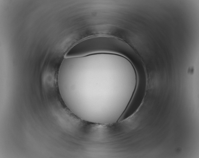 X0000113210140200909241433