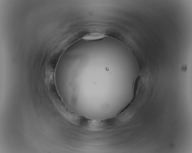 X0000113210141200909241433