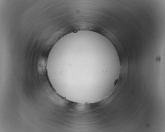 X0000113210142200909241433