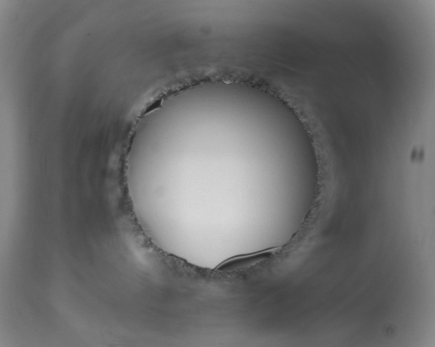 X0000113210144200909241433