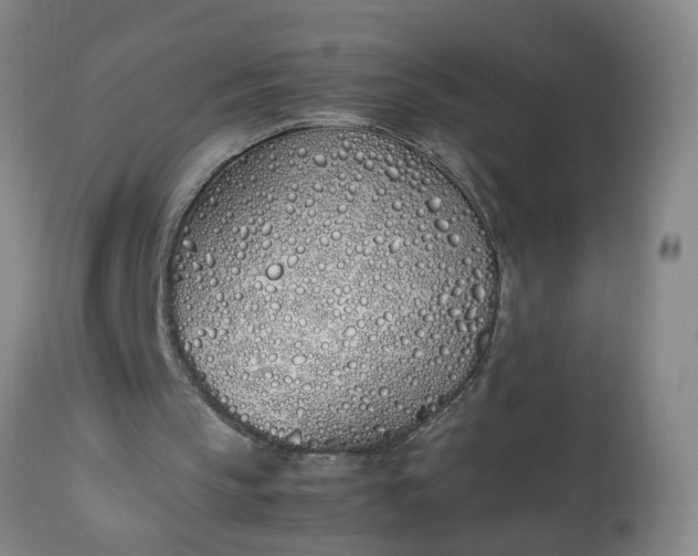 X0000113210145200909241432