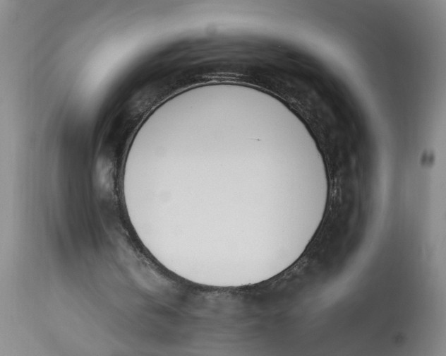 X0000113210146200909241432